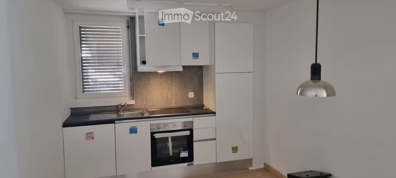 Modern kitchen with white cabinets, stainless steel sink, oven, and pendant light.