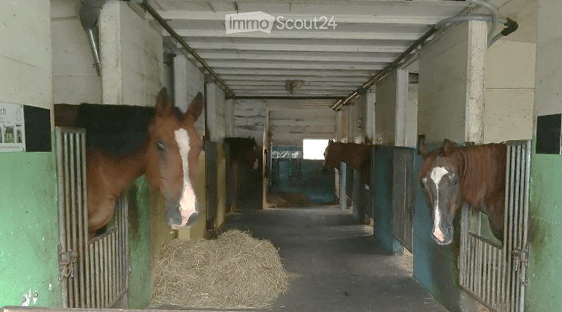 Stable corridor with multiple stalls, hay on the floor, horses visible in stalls, and a light fixture on the ceiling.