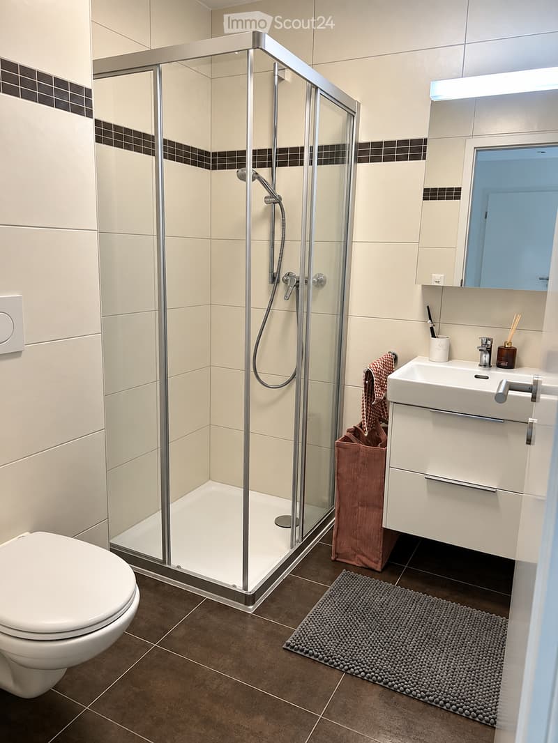 Modern bathroom with a glass-enclosed shower, white toilet, white sink with a mirror, and a small brown handbag placed on the floor next to the sink.