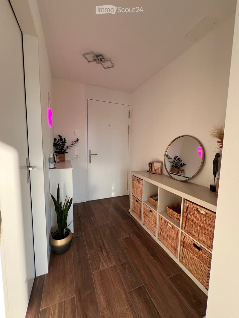 Wooden floor, white walls, hallway, a plant on the floor, a plant on a shelf, mirror on the shelf, basket shelves
