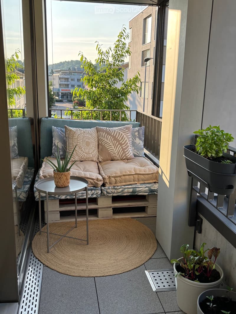 a small sofa, cushion, potted plants, round rug, table, railing, city view