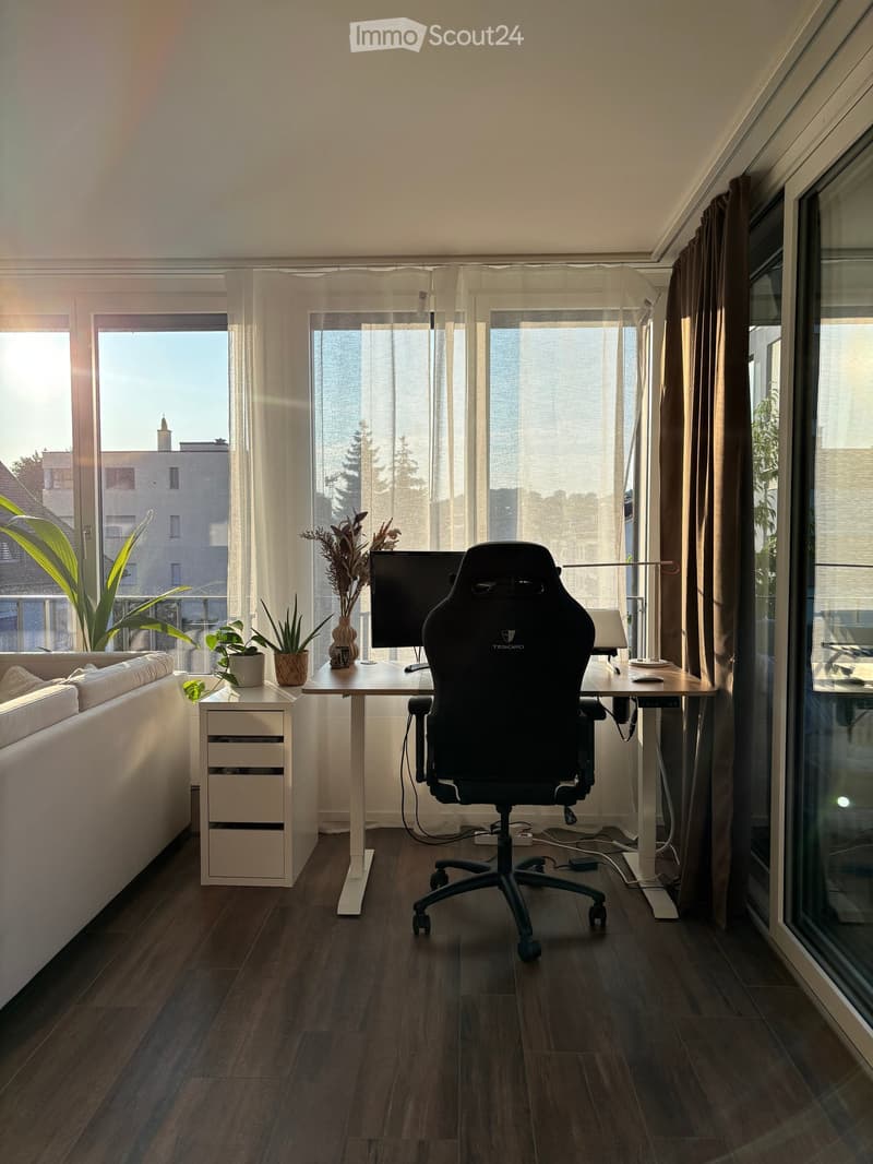 workstation with ergonomic chair, monitor, desk, drawers, lamp, couch, potted plants