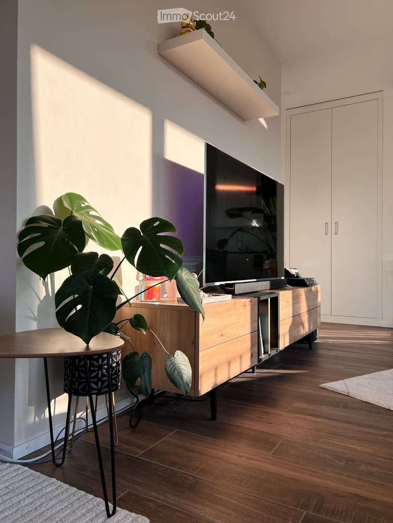 Wooden entertainment center with TV, a large potted monstera plant, round wooden table, white walls, large floor-to-ceiling window, a carpet, a white shelf, a closet, and a phone