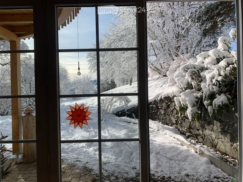 View from a large window showing a snow-covered garden with trees, a stone wall, and a wooden structure.