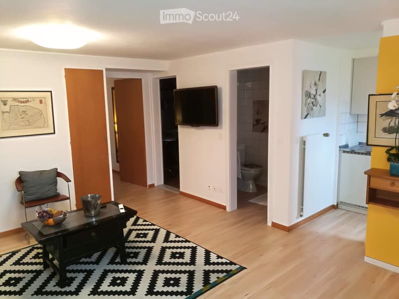 Living room with wooden floor, patterned rug, coffee table, chair, TV screen, framed picture, bowl of fruit, radiator, and open doors to bathroom and other rooms.