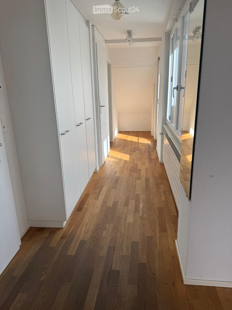 Clean, modern hallway with wooden flooring, white walls, built-in storage units, and recessed lighting.
