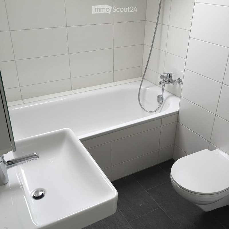 Modern bathroom with white tiles, a bathtub with a handheld shower, a sink with a modern faucet, and a toilet.