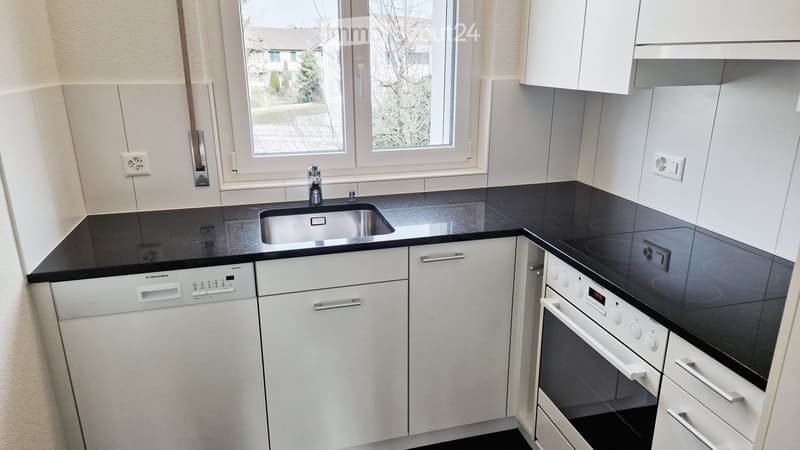 Modern kitchen with white cabinets, black countertops, stainless steel sink, dishwasher, and induction cooktop.