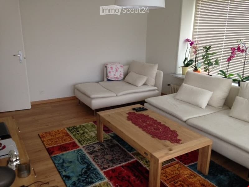 Modern living room with white leather sofa, wooden coffee table, colorful rug, and potted plants near the window.