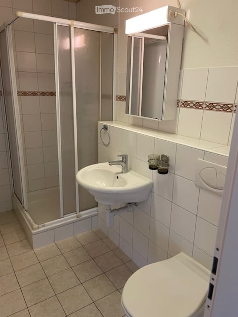 Bathroom with shower, sink, toilet, and mirror