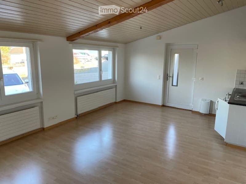 Empty room with wooden floor, white walls, two windows, white door, white radiators, and a white cabinet.
