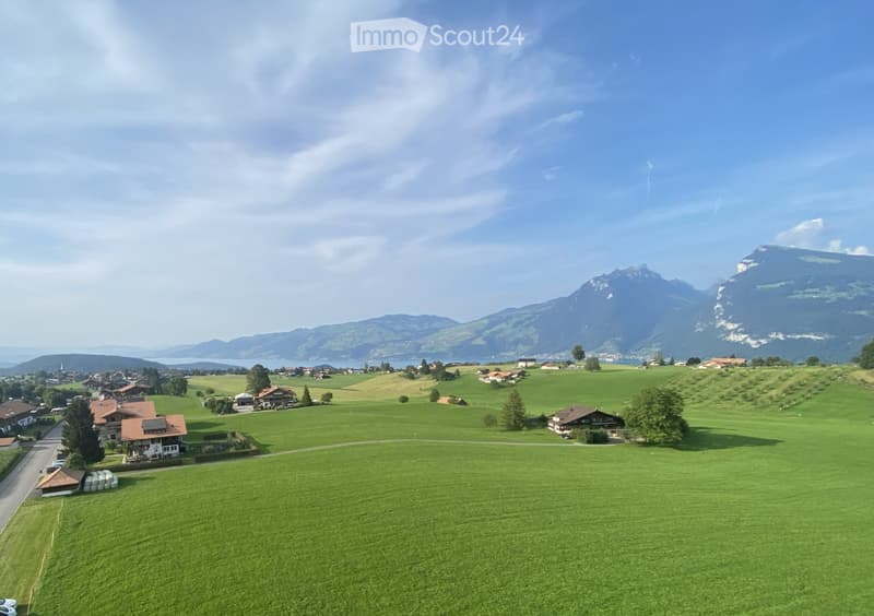 Aerial view of a rural landscape with green fields, scattered houses, and distant mountains under a clear sky.