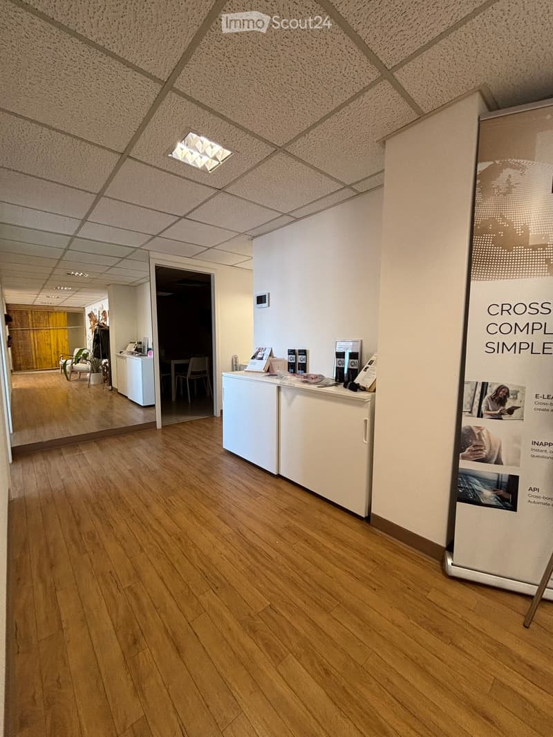 Reception area with a white reception desk, brochures, a chair, a small table, and a potted plant. The floor is wooden, and the ceiling has recessed lighting.