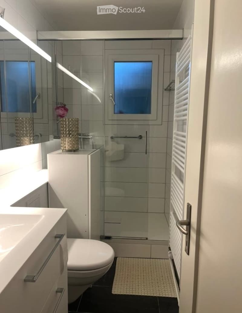 Modern bathroom with a white sink, toilet, glass-enclosed shower, and a mirror above the sink. A small flower vase sits on the sink counter.