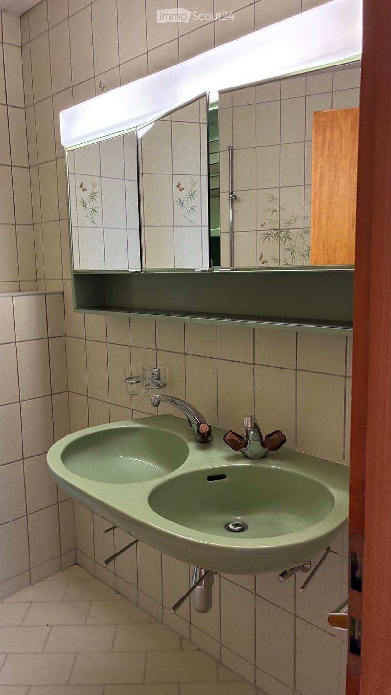 Bathroom with a double sink, mirror, and decorative tiles featuring butterflies and plants.