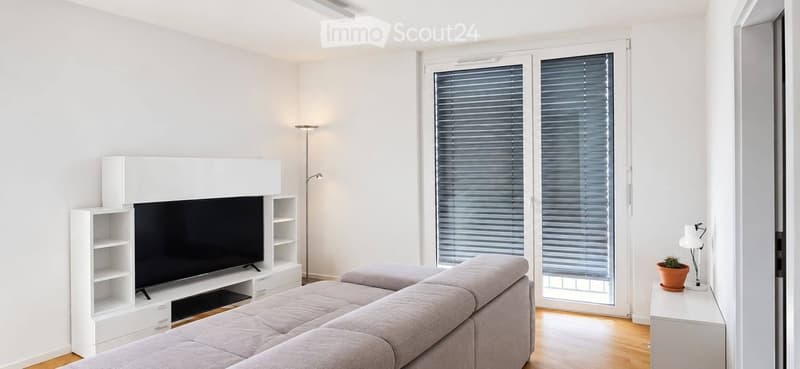 Modern living room with white walls, light wooden flooring, grey sectional sofa, flat-screen TV on a white stand, and a small table lamp with a potted plant.