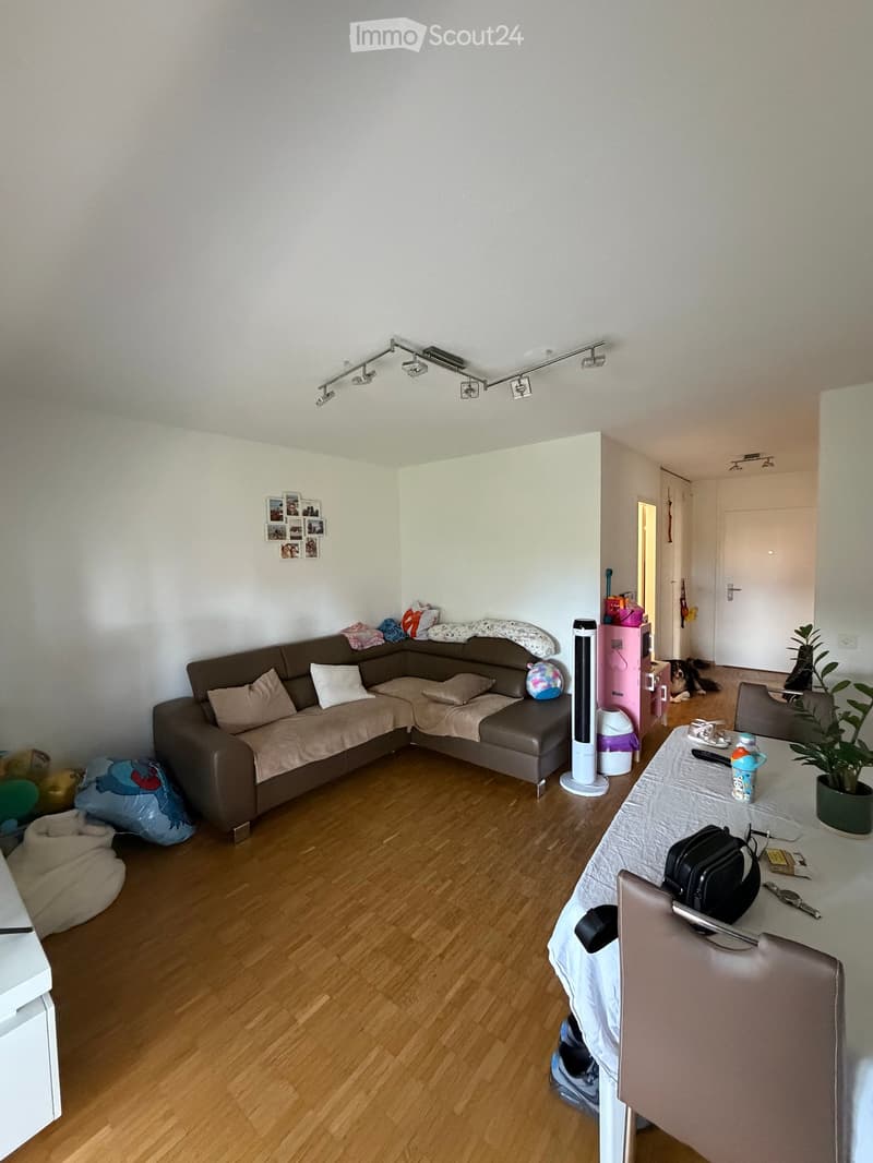 A modern living room with a brown sectional sofa, a small table with a plant, and a dog in the background. The room features wooden flooring and white walls.