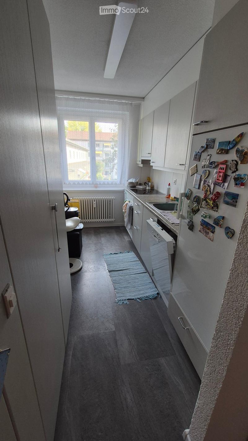 Modern kitchen with white cabinets, stainless steel appliances, and a window overlooking a building. Includes a refrigerator with magnets, a sink, a dishwasher, a radiator, and a small rug on the floor.