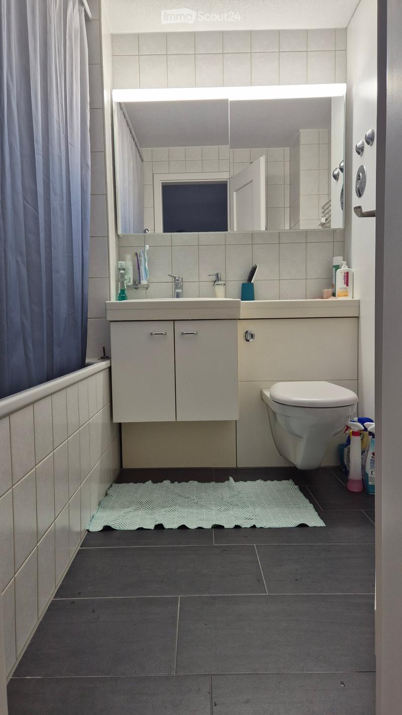 Modern bathroom with a double sink, large mirror, toilet, and a small rug on the floor. The sink has a cabinet underneath, and various toiletries are placed on the counter.