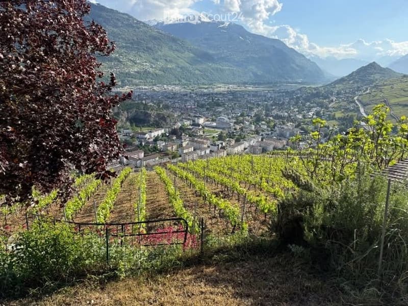 Panoramic view of a town nestled in a valley surrounded by mountains, with vineyards in the foreground.