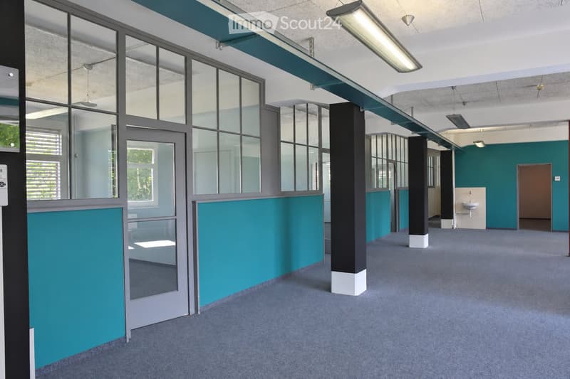 Modern corridor with teal and white walls, large windows, grey carpeted floor, and visible pillars.