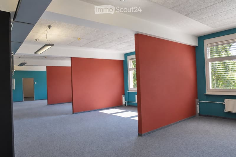 Empty room with grey carpet, white and teal walls, two windows, and a door leading to another space.