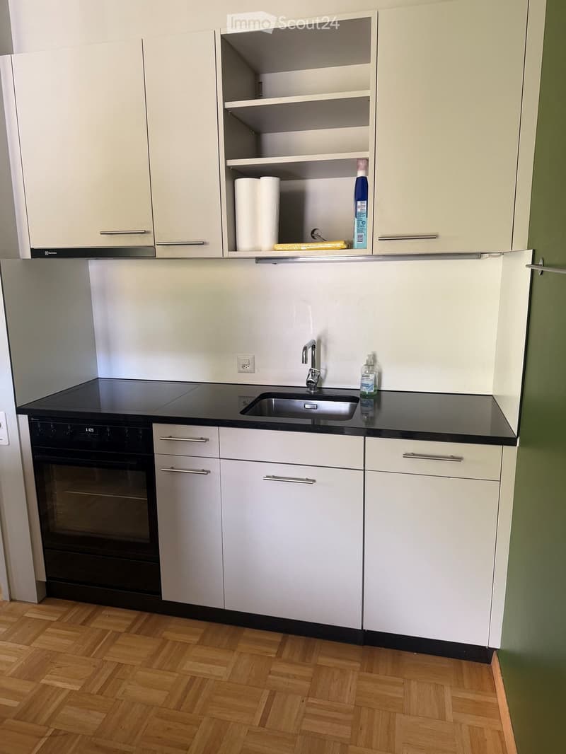 Modern kitchen with white cabinets, black countertop, stainless steel sink, and built-in oven. Includes paper towels and a bottle on the counter.