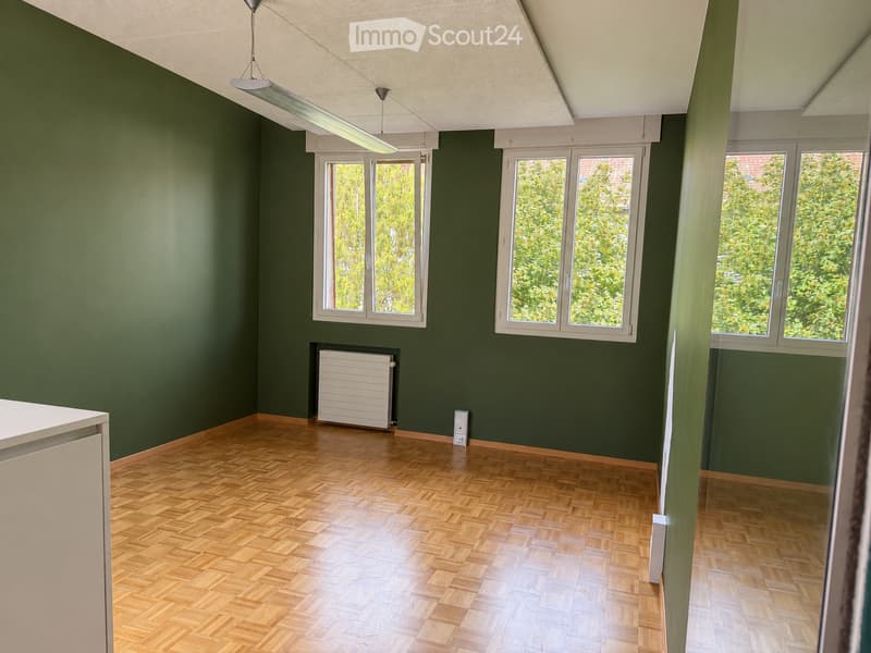 Empty room with dark green walls, wooden herringbone flooring, large windows, radiator, and modern lighting fixture.