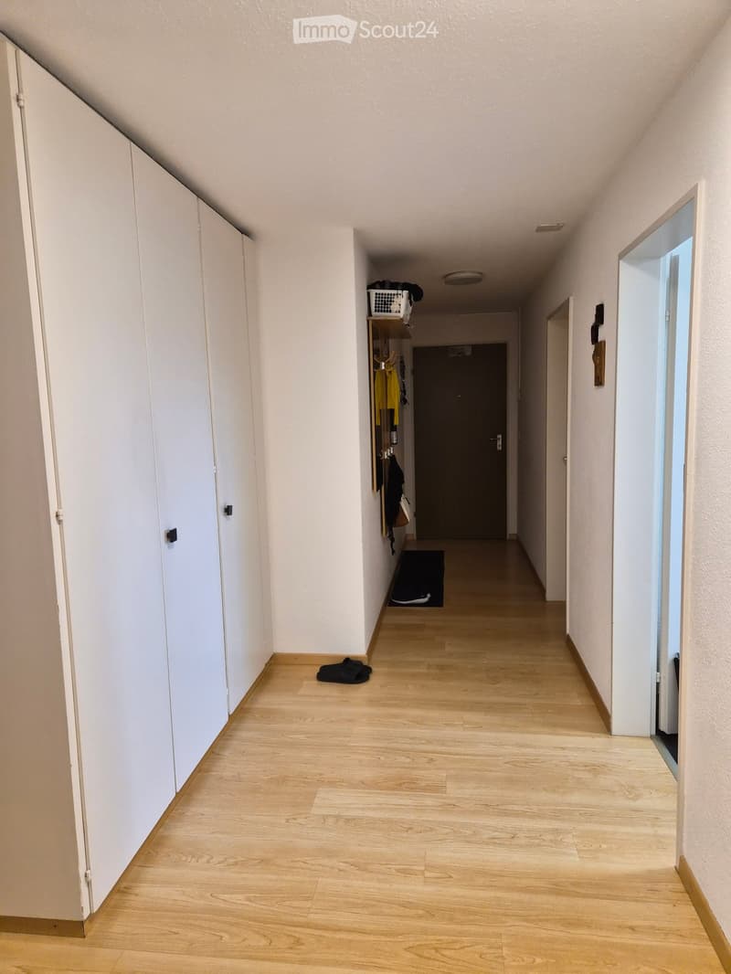 A narrow hallway with light wooden flooring, white walls, and built-in white cabinets on one side. A small shelf with a basket and some items is visible, along with a closed door at the end.