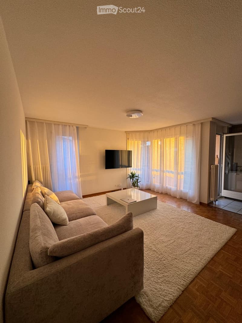 Modern living room with a large sectional sofa, coffee table, flat-screen TV, and a small plant near the window. The room features wooden flooring, white walls, and large windows with sheer curtains.