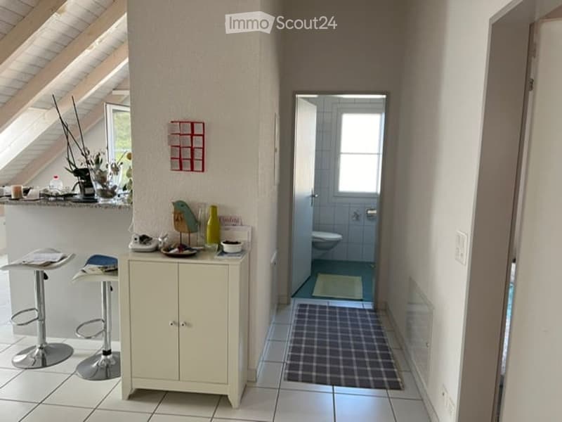 A small, modern hallway with a white cabinet, two stools, a decorative bird figurine, and a bowl on top. A bathroom is visible at the end of the hallway with a toilet and a blue rug.