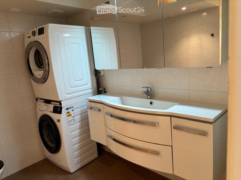 Modern bathroom with a white washing machine, a sink with a mirror, and built-in cabinets.
