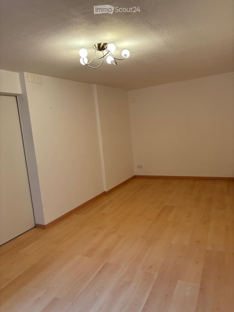 Empty room with light wooden flooring, white walls, and a ceiling light fixture.