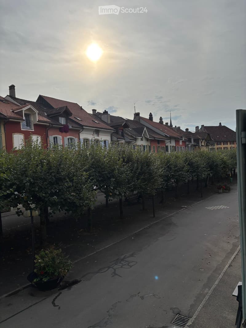 A quiet street lined with colorful houses, featuring red, white, and pink facades, surrounded by trees and bushes. The sun is setting, casting a warm glow over the scene.