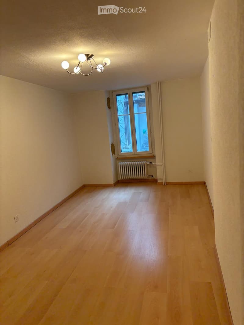 Empty hallway with wooden flooring, light-colored walls, a window with a radiator below, and a ceiling light fixture.
