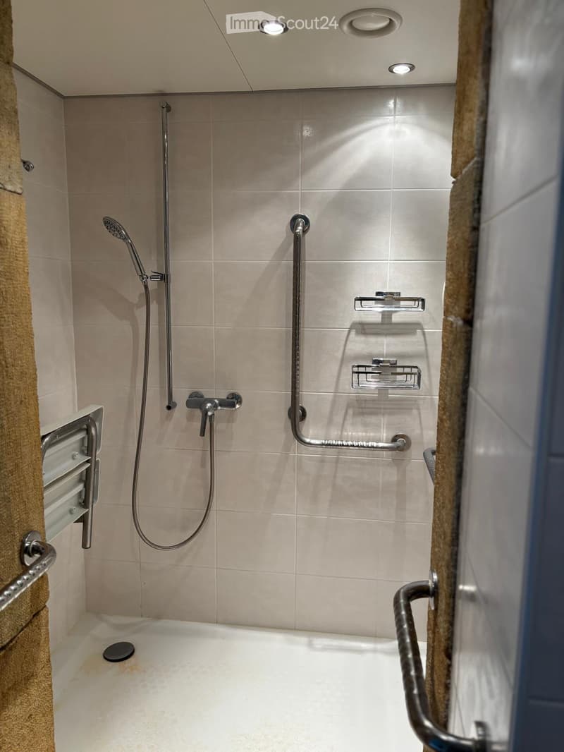 Bathtub with a handheld showerhead and handheld controls, handrails, and towel rack.