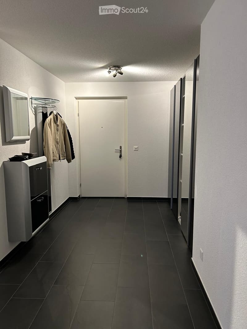 {"visible_features":[],"type":"Hallway","description":"The image shows a hallway with a white door, white walls, and dark tile flooring. There is a coat rack with some clothing items hanging on it, and a small cabinet or appliance visible in the corner."}
