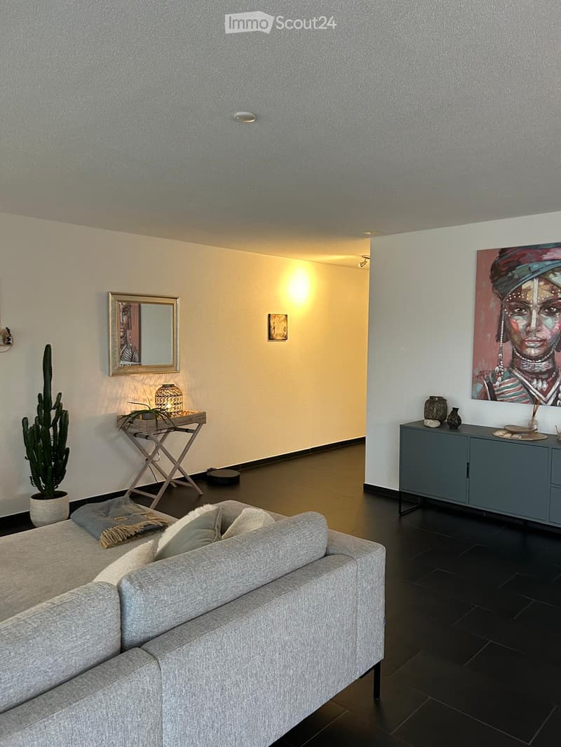 {"visible_features": ["Fireplace"],"type": "Living room","description": "The image shows a modern and stylish living room with a gray sofa, a black cabinet, and a large piece of artwork on the wall. There is also a cactus plant and a decorative tray on a