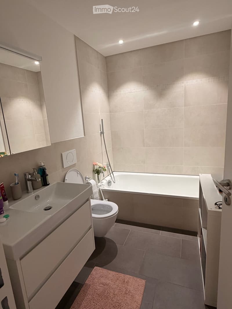 Modern bathroom with beige tiles, a large sink, a toilet, a bathtub, and a mirror. The room features built-in cabinets and a small pink rug on the floor.