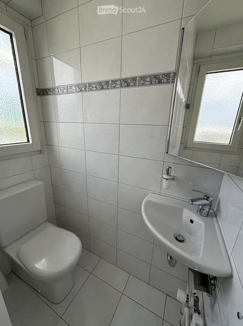 Clean bathroom with white tiled walls and floor, featuring a toilet, a sink with a modern faucet, and a mirror above the sink. The room has two small windows providing natural light.