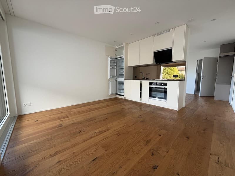 Modern kitchen with white cabinets, stainless steel appliances, and wooden flooring.