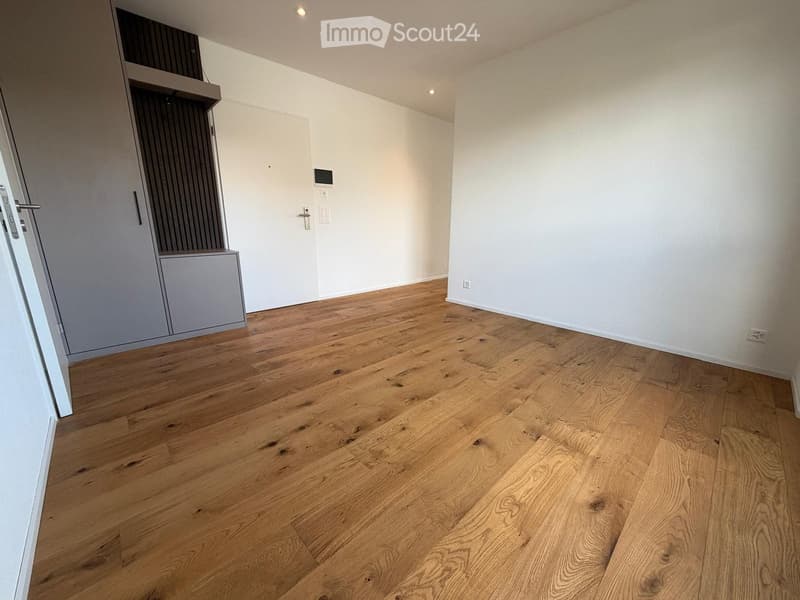 Empty room with light wooden flooring, white walls, and a grey cabinet with shelves.