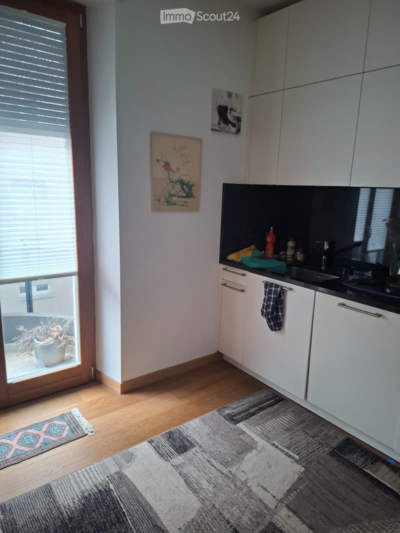 Nachmieter gesucht – helle 3,5-Zimmer-Wohnung in Lugano-Loreto (2)