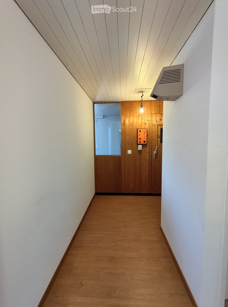 A narrow hallway with wooden flooring, white walls, and a wooden door at the end. The ceiling has a slanted design with recessed lighting and an air vent on the right side.