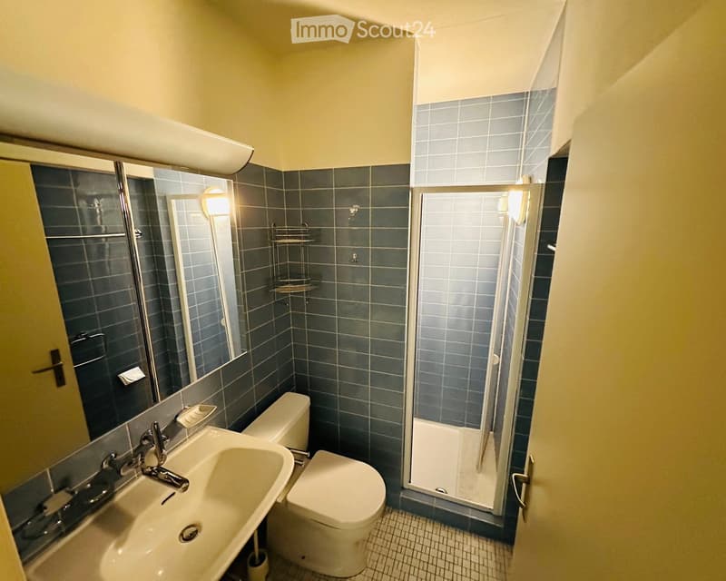 Bathroom with a sink, toilet, shower, and mirror. Dark blue tiles on walls, white fixtures, and a glass-enclosed shower area.