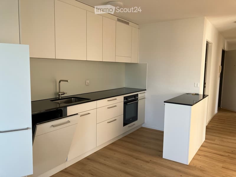 Modern kitchen with white cabinets, black countertops, stainless steel sink and faucet, built-in oven, and a small island with a black countertop.