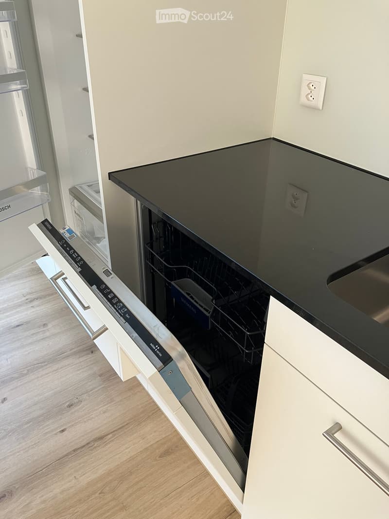 Modern kitchen with white cabinets, black countertop, and a fully integrated dishwasher.