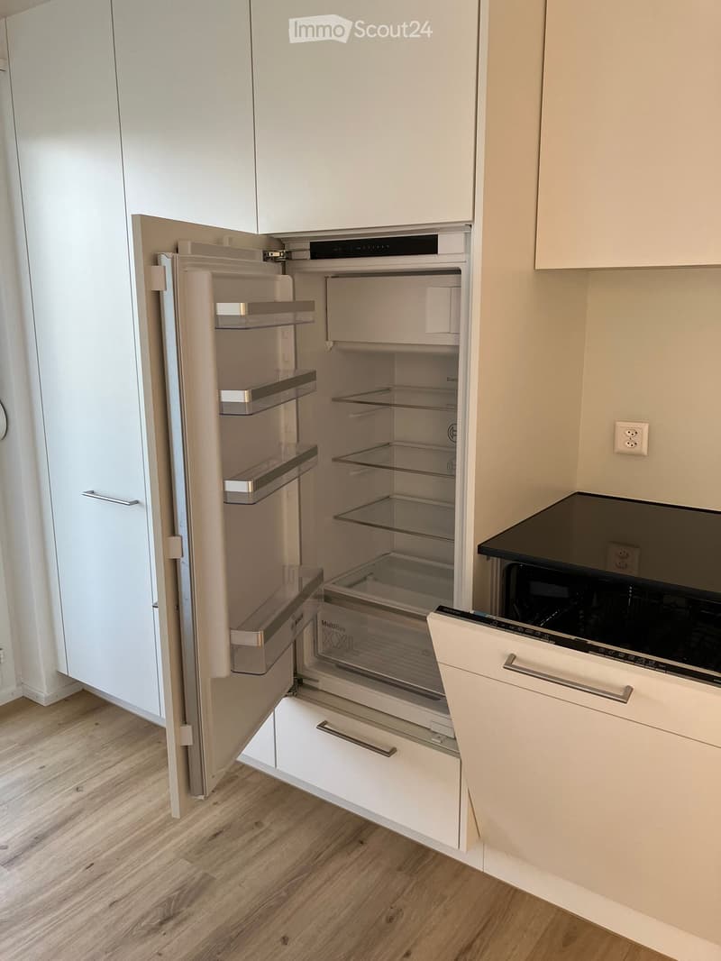 Modern kitchen with white cabinets, an open refrigerator, and a dishwasher. The refrigerator has multiple glass shelves and drawers, and the dishwasher is integrated into the cabinetry.