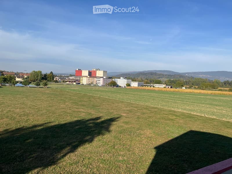 Open grassy field with scattered trees, distant buildings, and a clear blue sky.