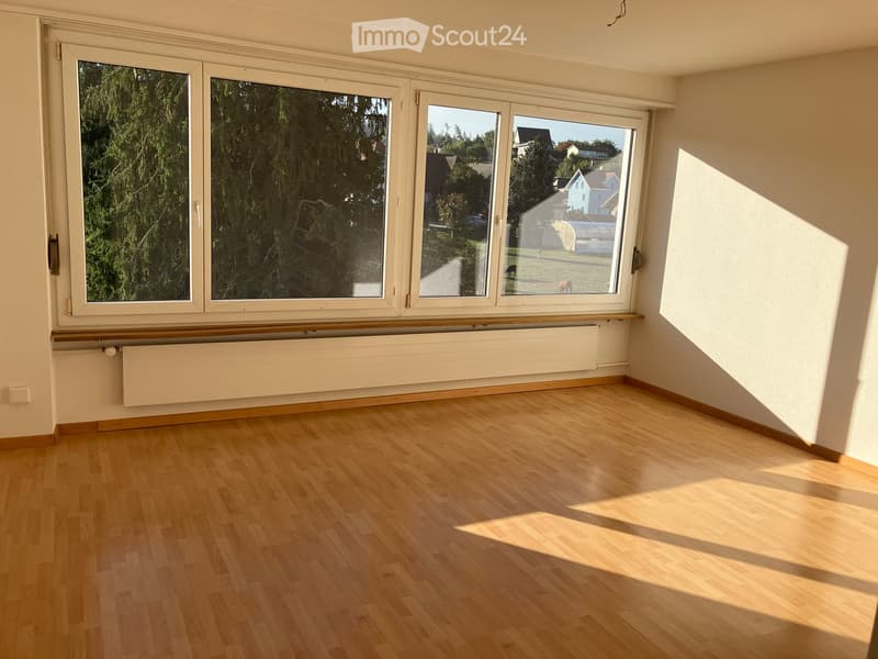 Empty room with wooden flooring, large windows, radiator, and natural light from outside view of trees and houses.
